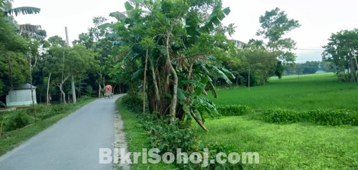 বাড়ি করার উপযোগী ২৮ শতক জমি বিক্রয়